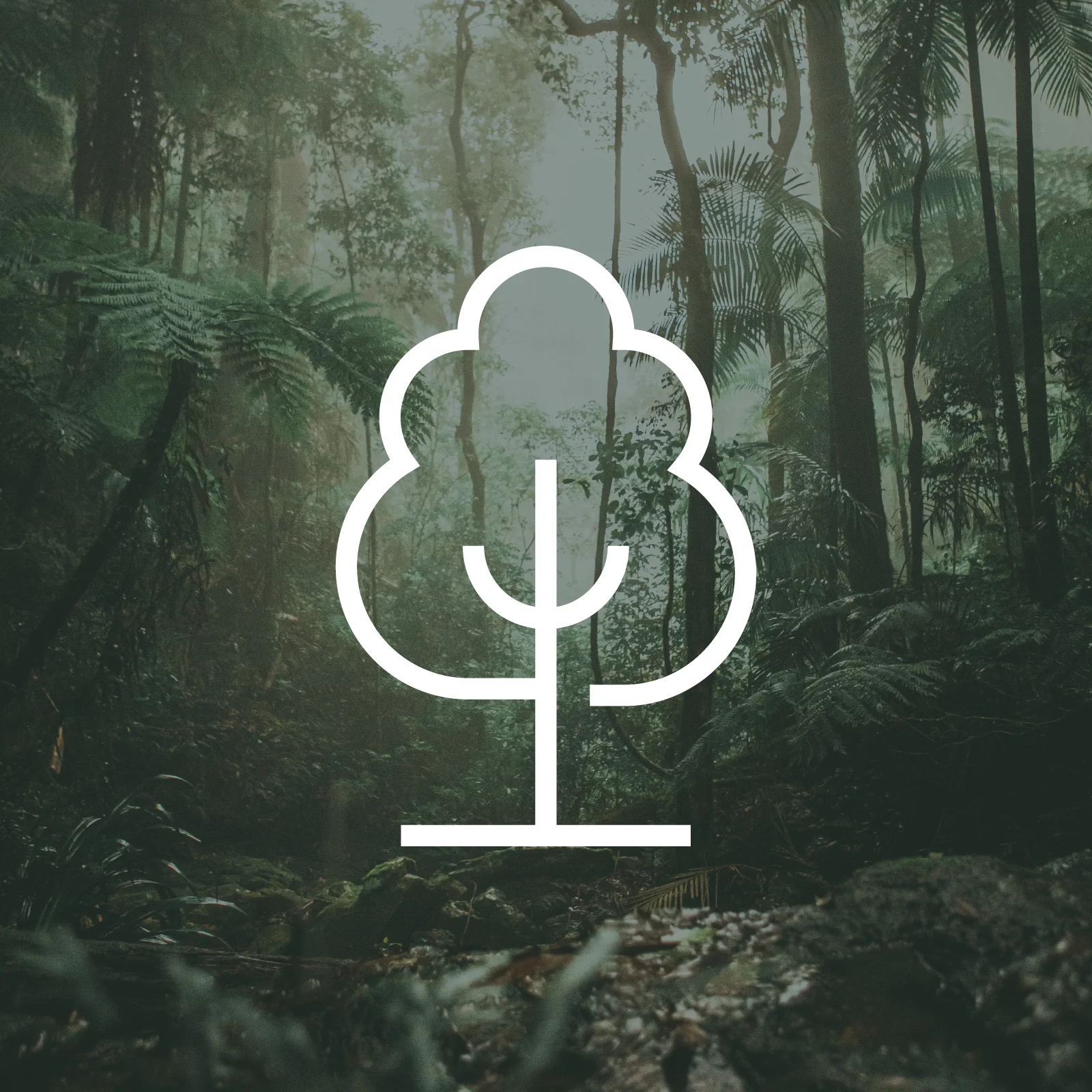 1 Tree Planted via THG (More Trees) Изображение 1