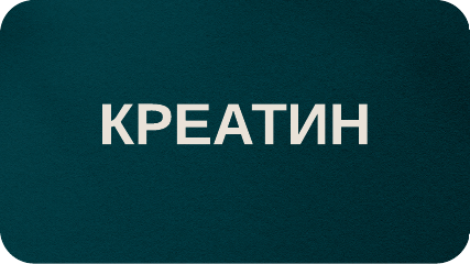 shop creatine supplement