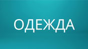 Одежда